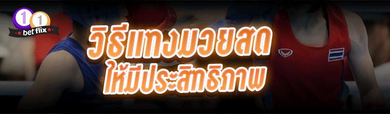 วิธีแทงมวยสด ให้มีประสิทธิภาพ