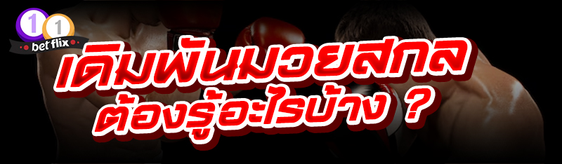 เดิมพันมวยสากล ต้องรู้อะไรบ้าง ?