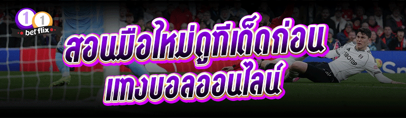 สอนมือใหม่ดูทีเด็ดก่อน แทงบอลออนไลน์
