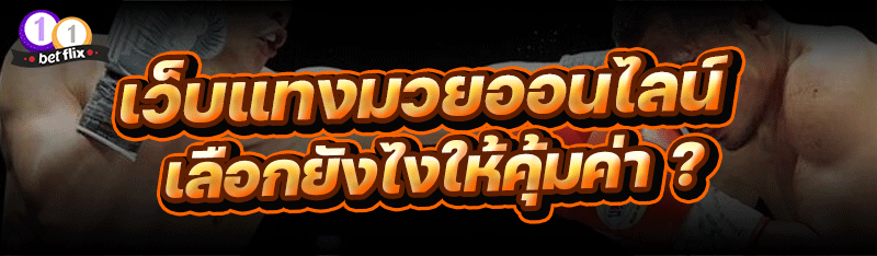 เว็บแทงมวยออนไลน์ เลือกยังไงให้คุ้มค่า ?